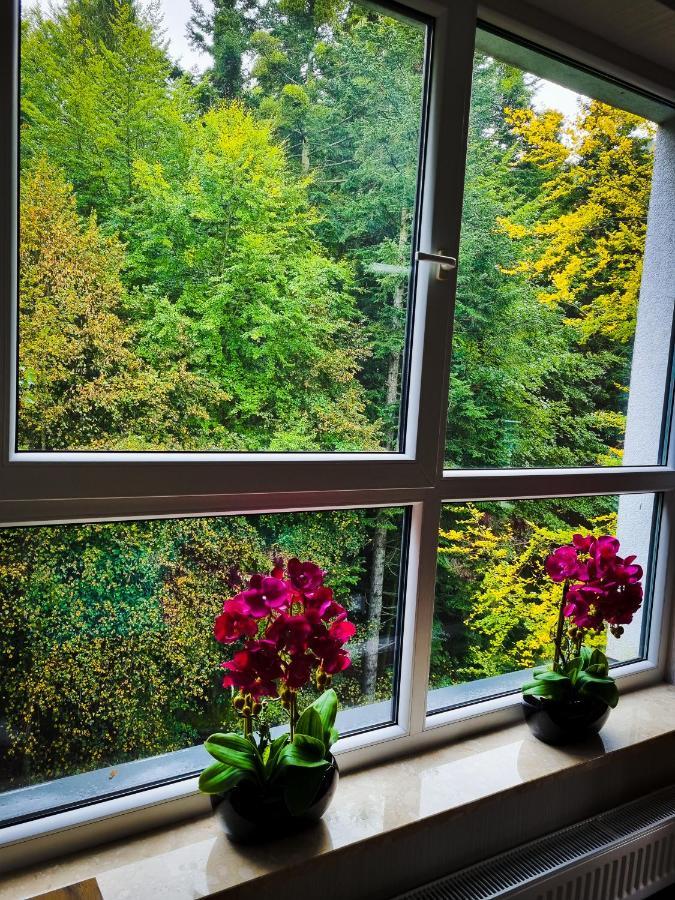 Apartament Kurort Kozubnik Wilcza Wataha Porabka Bagian luar foto